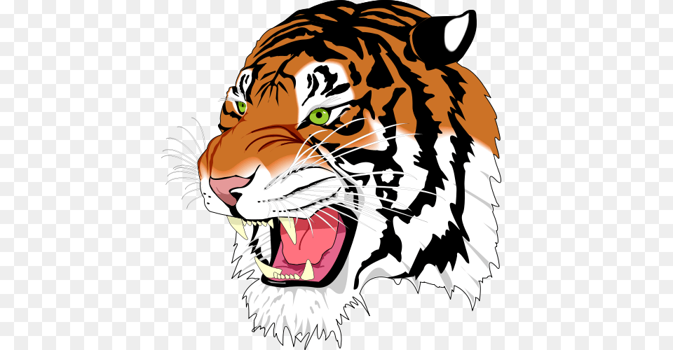 Tiger Face Clipart, Person, Adult, Female, Woman Png Image