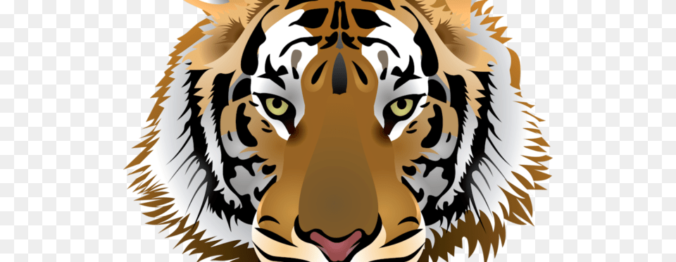 Tiger Face Clipart Download Clip Art, Animal, Mammal, Wildlife, Person Png Image