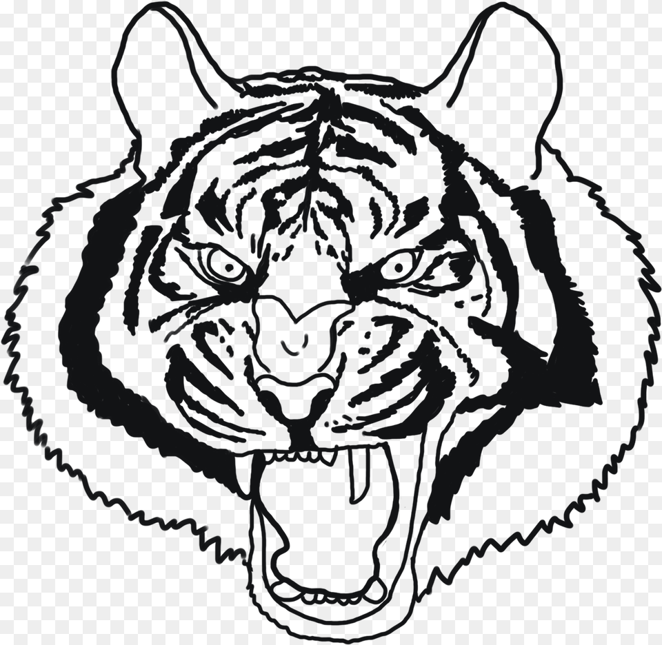 Tiger Face Drawing Angry Tiger, Animal, Mammal Png Image