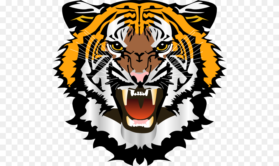 Tiger Face File Tiger Face Clip Art, Person, Head, Animal, Mammal Free Png Download