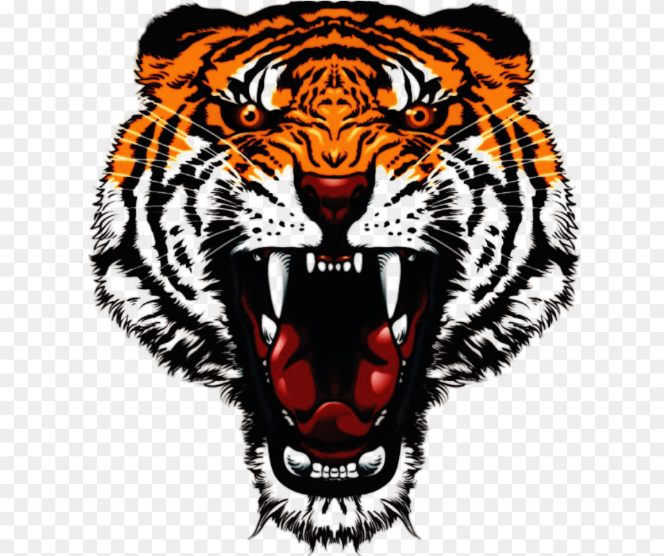 Tiger Face Hd, Animal, Mammal, Wildlife Png