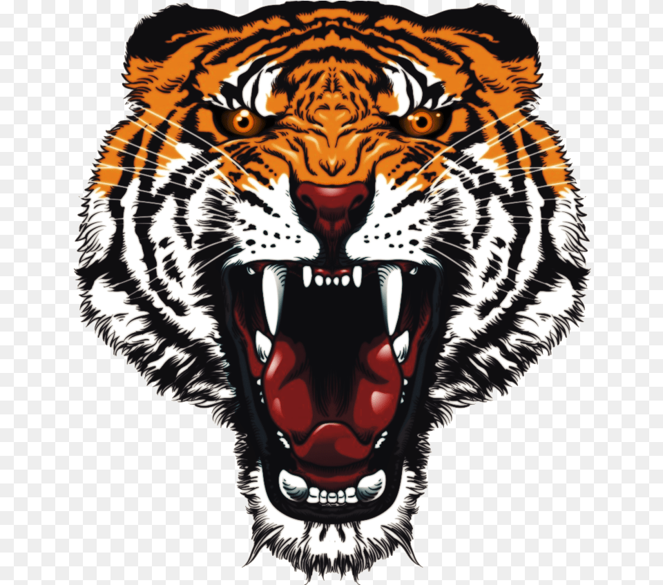 Tiger Face Image Angry Tiger Face, Animal, Mammal, Wildlife Free Png Download