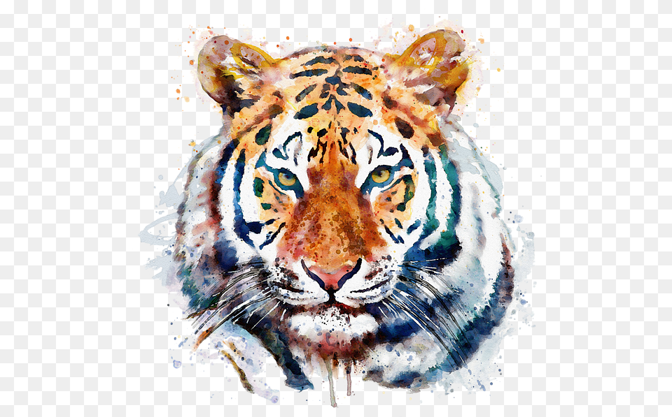 Tiger Face Painting Tiger Watercolor, Animal, Mammal, Wildlife, Food Free Png