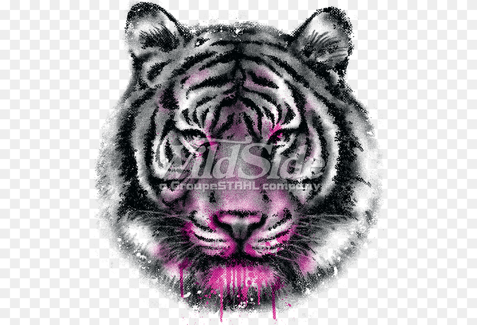 Tiger Face Tiger Face De Cara De Tigre, Animal, Mammal, Wildlife Free Transparent Png