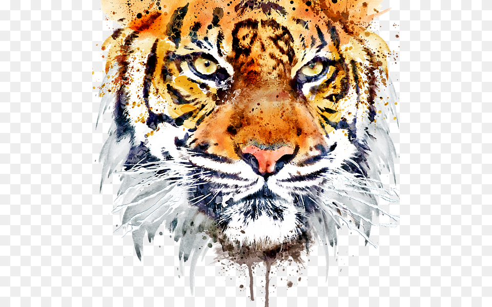 Tiger Face Tiger Face Image Hd, Animal, Mammal, Wildlife Free Png