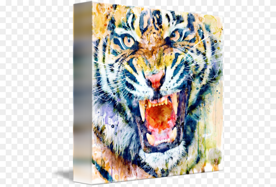 Tiger Face Watercolor Closeup By Marian Voicu Angry Tiger Watercolour, Animal, Mammal, Wildlife Free Transparent Png
