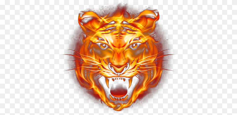 Tiger Fire Fierce Clipart Tiger Face Hd, Animal, Lion, Mammal, Wildlife Free Png Download