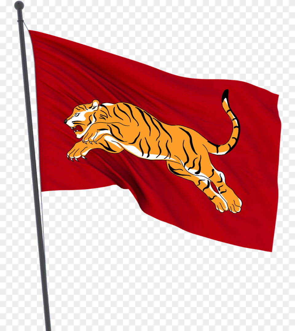 Tiger Flag, Animal, Mammal, Wildlife Png