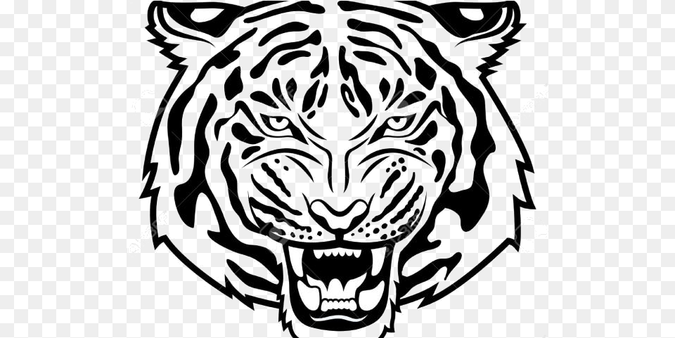 Tiger White Clipart Clip Art On Transparent Tiger Head Clipart Black And White, Stencil, Animal, Mammal, Panther Free Png
