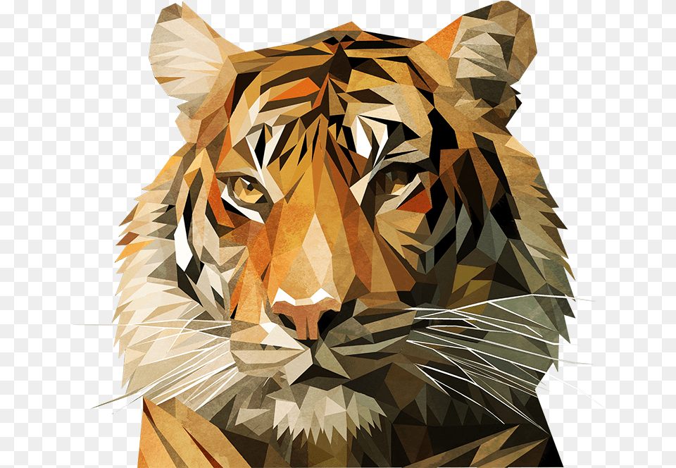 Tiger Geometric, Person, Animal, Mammal, Wildlife Png Image