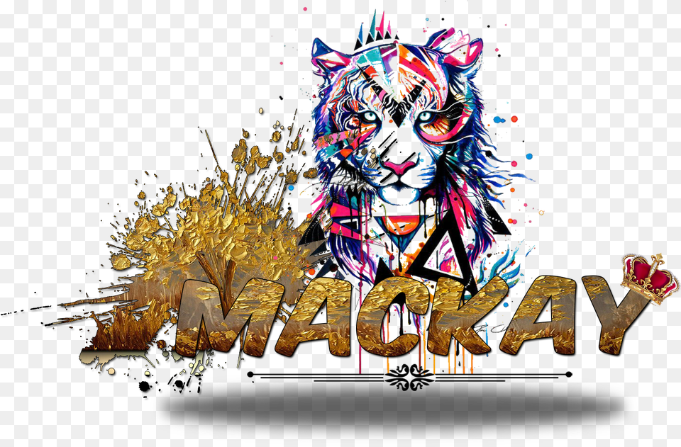 Tiger Graphic Design Hd, Art, Graphics, Adult, Female Free Png