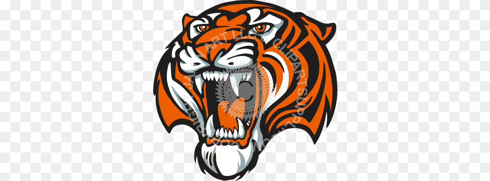 Tiger Head, Animal, Mammal, Wildlife Png