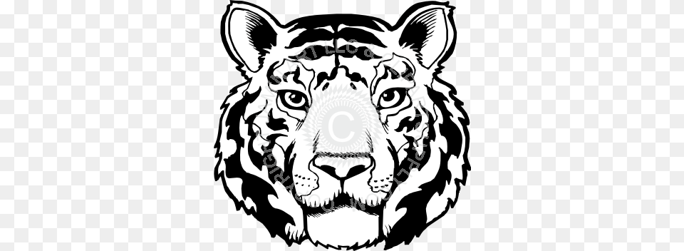 Tiger Head Black And White, Stencil, Baby, Person, Face Free Png Download