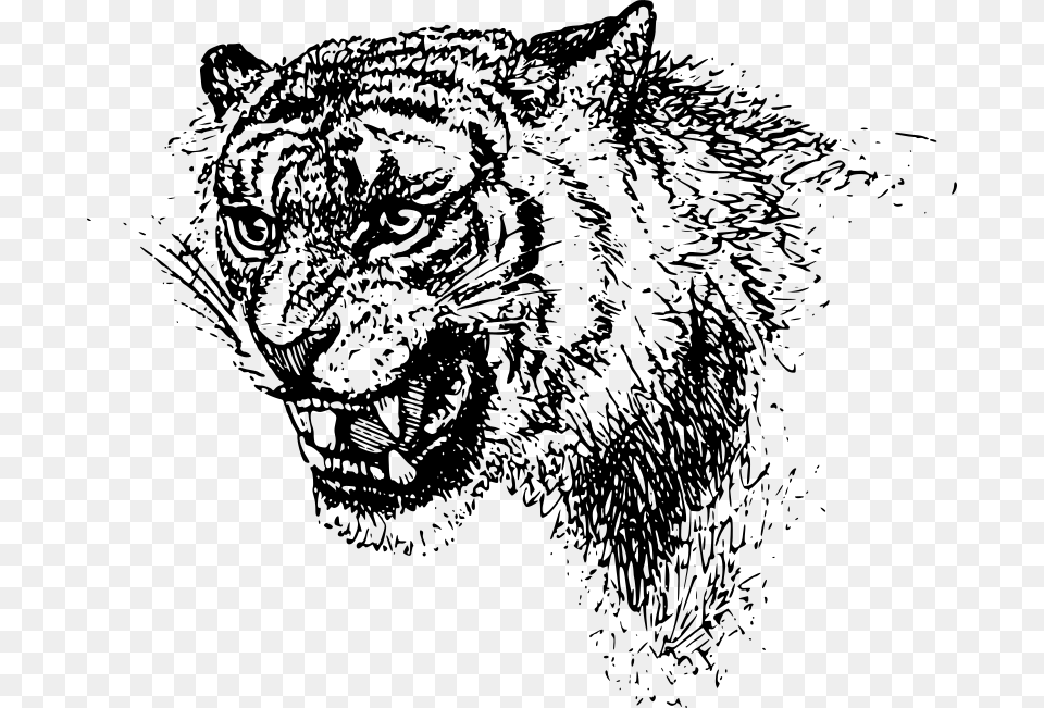 Tiger Head Black Clip Art Tiger, Gray Free Transparent Png