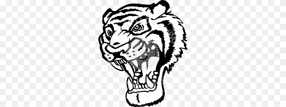 Tiger Head Black White, Baby, Person, Art, Stencil Free Png