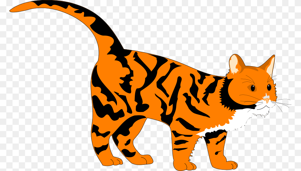 Tiger Head Clip Art, Animal, Baby, Cat, Mammal Png