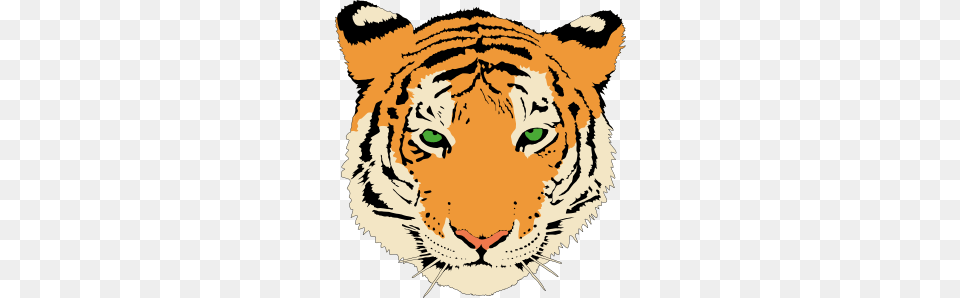 Tiger Head Clip Art, Animal, Baby, Mammal, Person Free Png Download