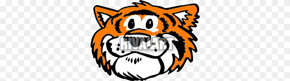 Tiger Head Clip Art, Snout, Animal, Kangaroo, Mammal Free Transparent Png