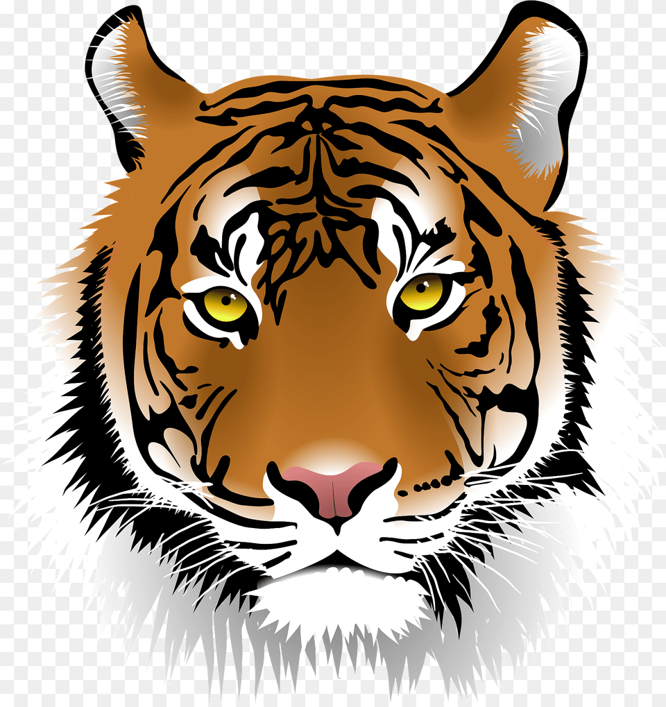 Tiger Head Clipart, Animal, Mammal, Wildlife, Baby Free Transparent Png
