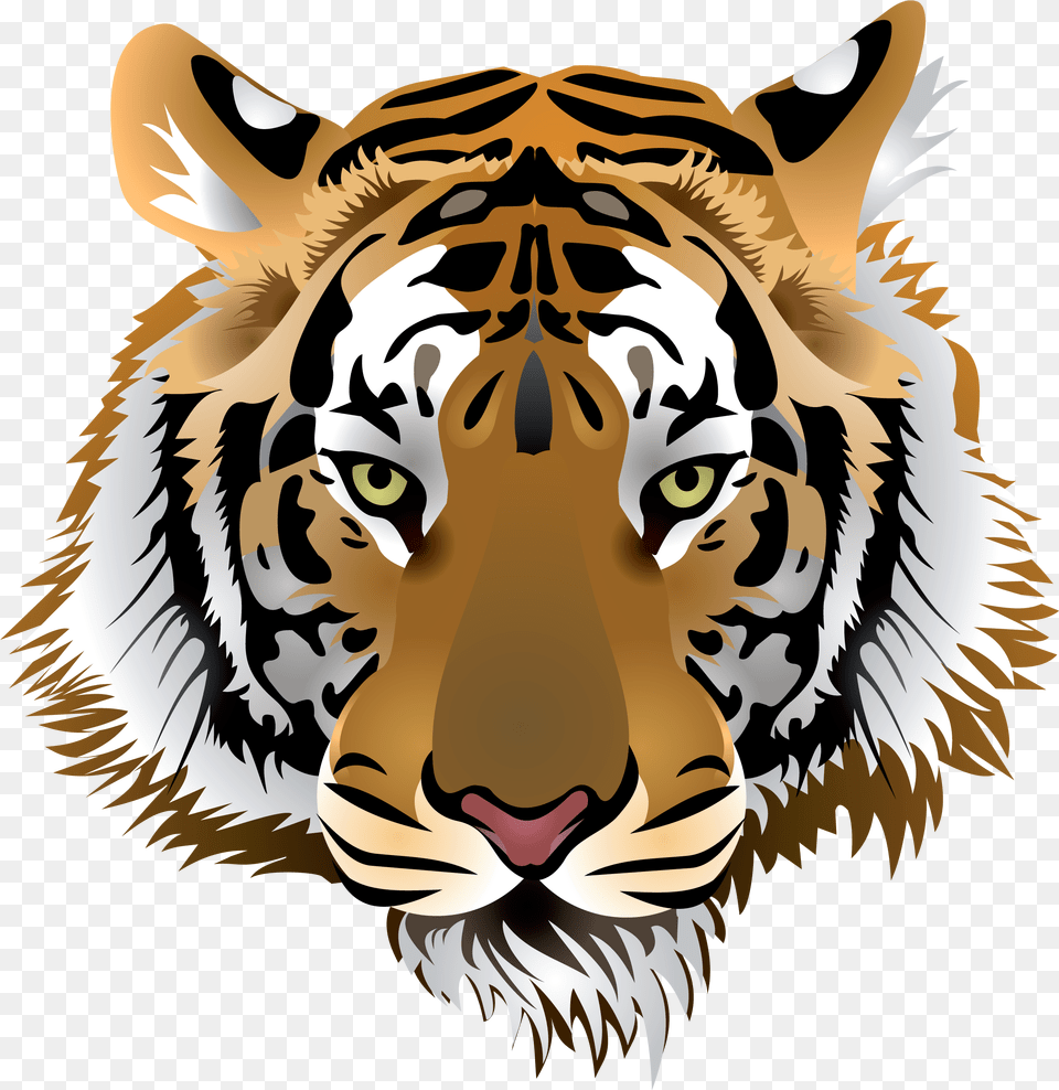 Tiger Head Clipart Tiger Head, Baby, Person, Animal, Mammal Png Image