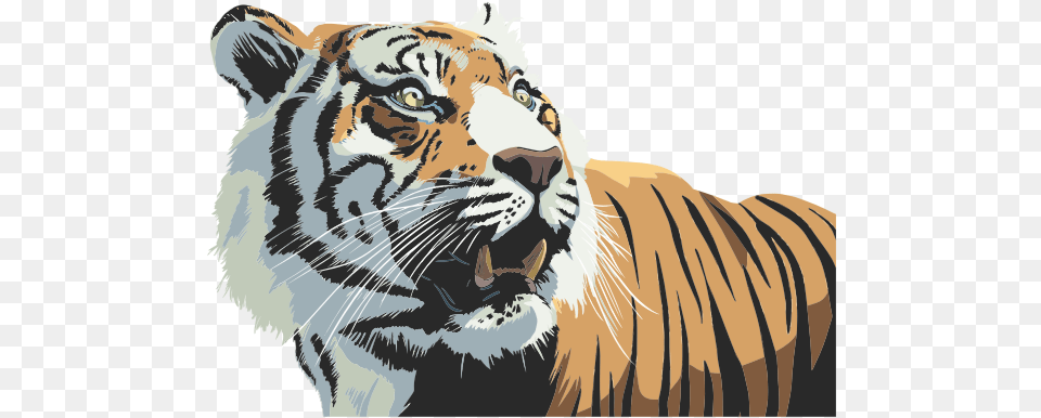 Tiger Head Illustration Tiger, Animal, Mammal, Wildlife, Zebra Free Transparent Png