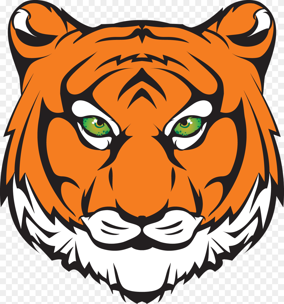 Tiger Head In Color Milaca High School Wolves Mascot, Baby, Person, Animal, Mammal Png Image