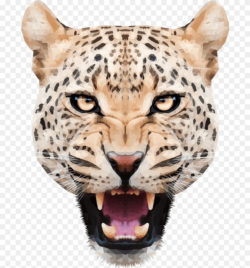 Tiger Head Leopar, Animal, Cheetah, Mammal, Wildlife Free Png