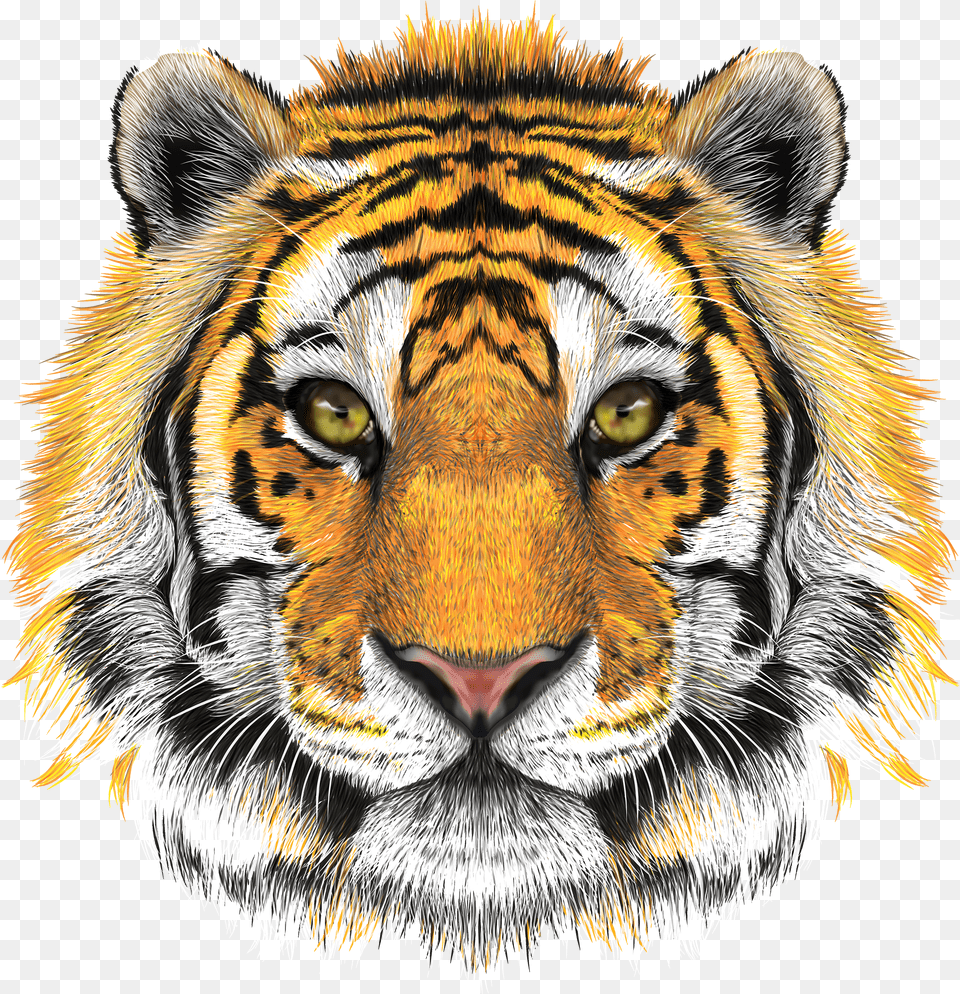 Tiger Head Transparent Background Png