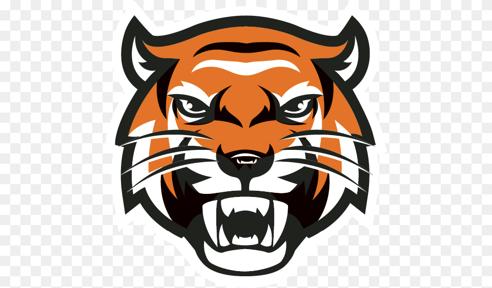 Tiger Head Transparent Imagenes Para Youtube Perfil, Baby, Person, Stencil, Logo Free Png Download