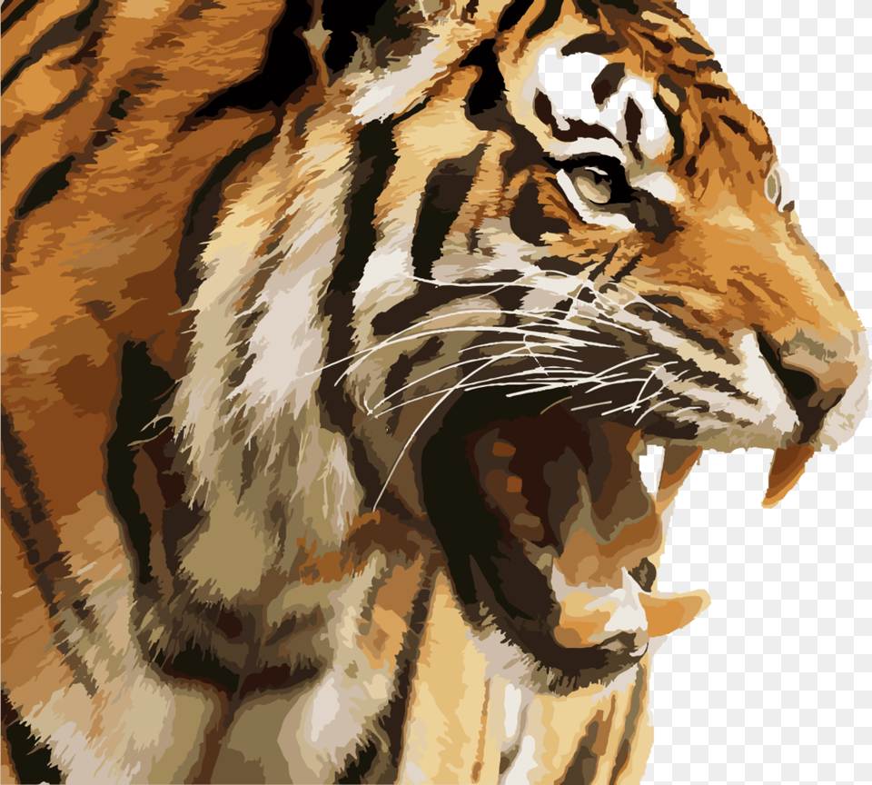 Tiger Illustration Angry Tiger Face, Animal, Mammal, Wildlife, Person Png Image