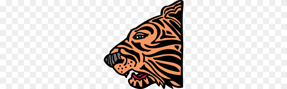 Tiger Images Icon Cliparts, Animal, Boar, Hog, Mammal Free Png