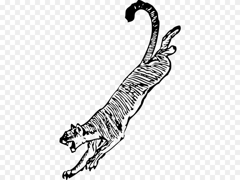 Tiger Jumping Attacking Attacker Dangerous Animals Cougar Clip Art, Gray Png Image