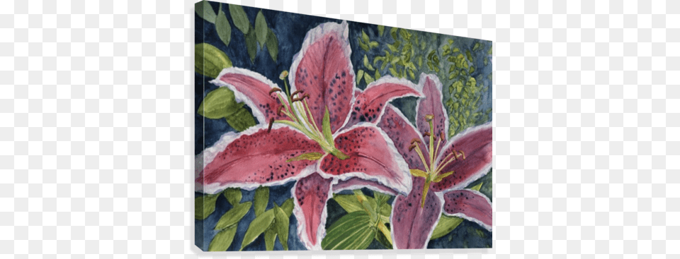 Tiger Lilies Canvas Print Artist, Flower, Plant, Petal, Lily Free Png Download