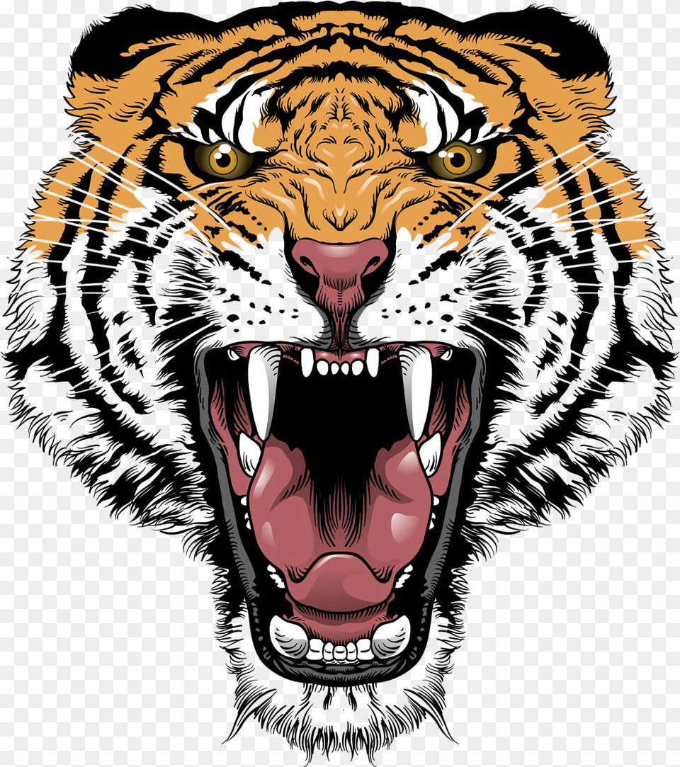 Tiger Lion Roar Big Cat Head, Adult, Person, Woman, Female Png Image