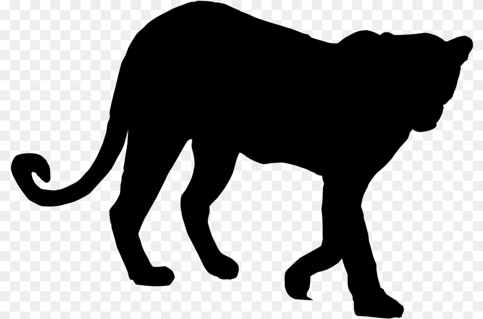 Tiger Lion Vector Graphics Royalty Illustration Tiger Silhouette Vector, Gray Free Transparent Png