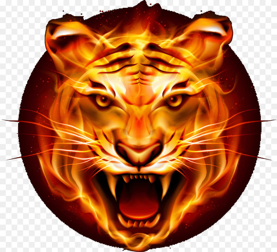 Tiger Logo Flame Tiger, Person, Animal, Face, Head Png