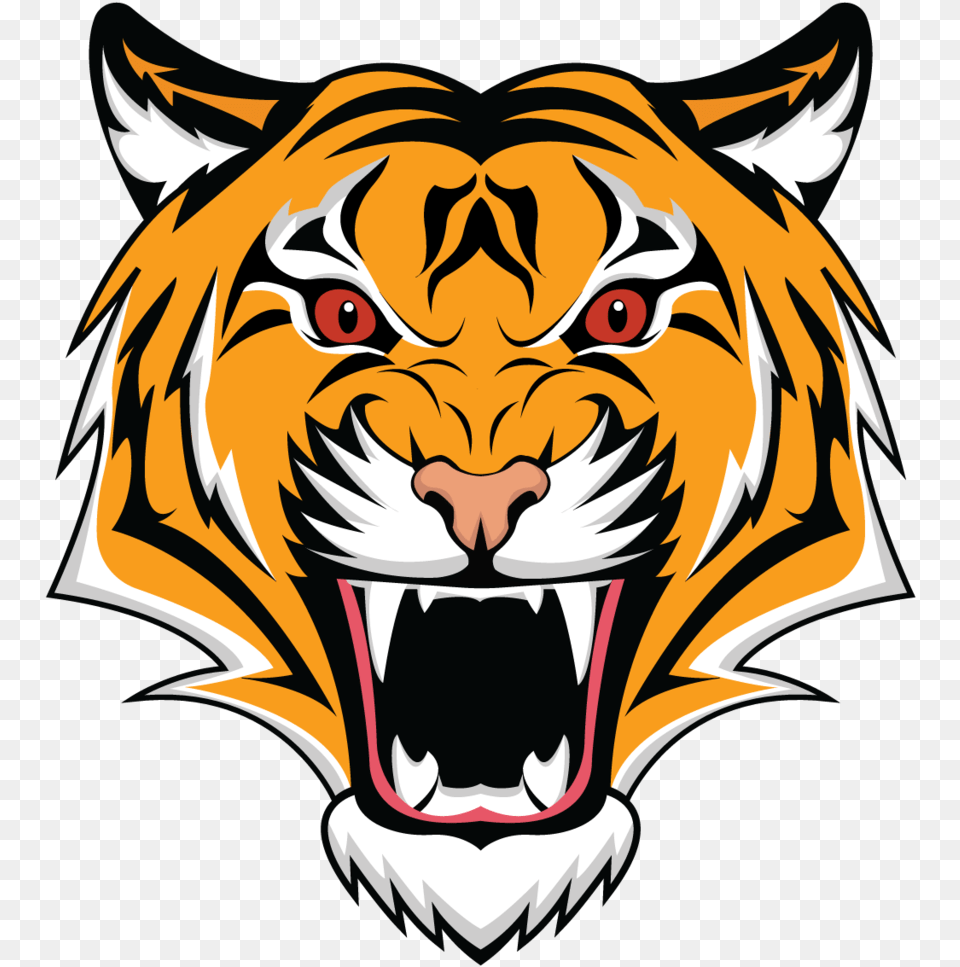 Tiger Logo Hd, Baby, Person, Face, Head Free Png