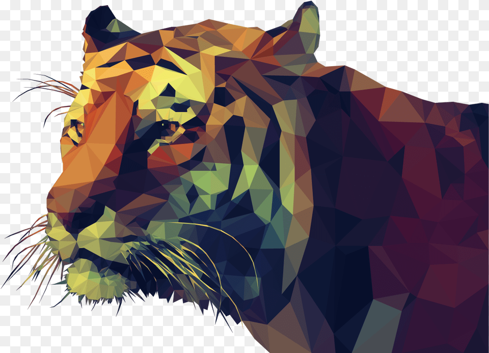 Tiger Low Poly Illustration Low Poly Tiger, Person, Animal, Wildlife, Mammal Png