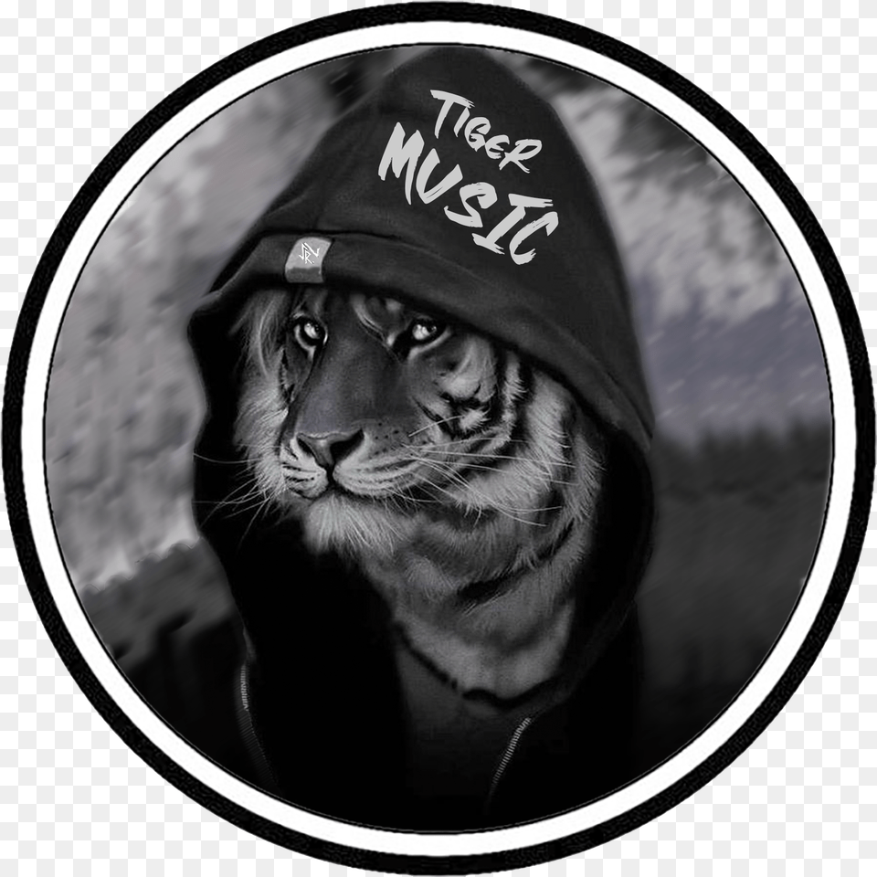 Tiger Music Logo This In 2020 Youtube, Photography, Cap, Clothing, Hat Free Png