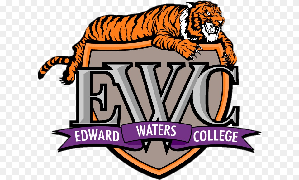 Tiger Nation Edward Waters College New Logo, Animal, Zoo, Mammal, Wildlife Free Transparent Png