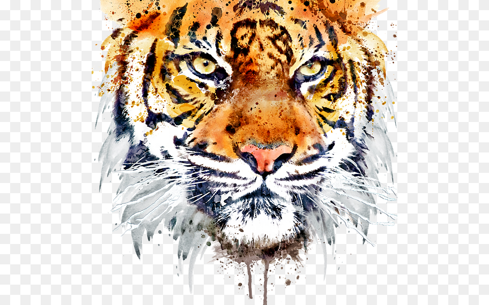 Tiger Painting Black And White, Animal, Mammal, Wildlife Png Image