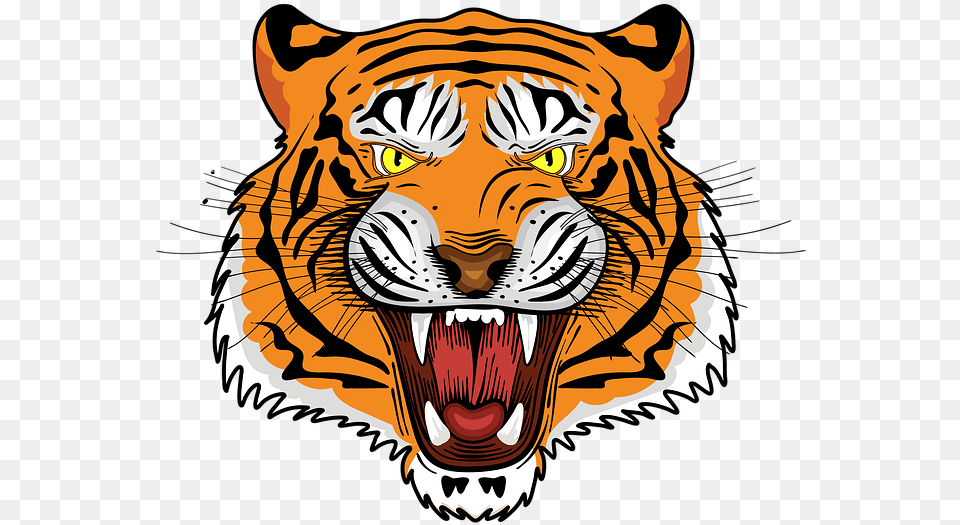 Tiger Royal Bengal Tiger Tiger Face Angry Tiger Tiger Logo, Animal, Baby, Mammal, Person Png