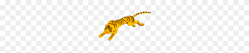 Tiger Running Clipart Explore Pictures, Animal, Mammal, Wildlife Png Image