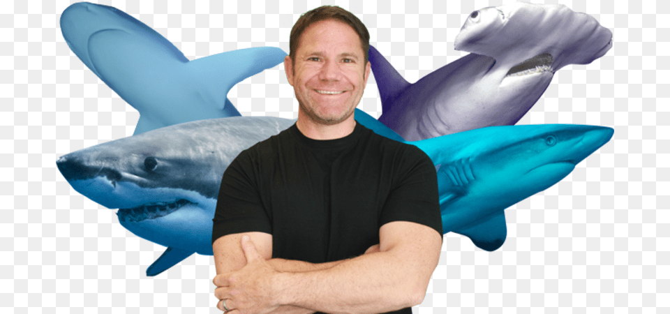 Tiger Shark, Adult, Person, Man, Male Free Png Download