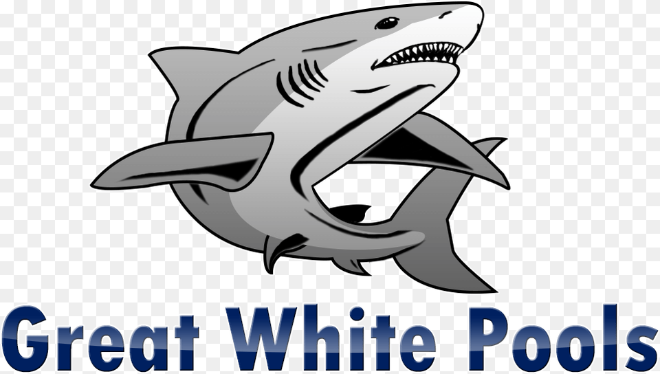 Tiger Shark, Animal, Sea Life, Fish Free Png Download