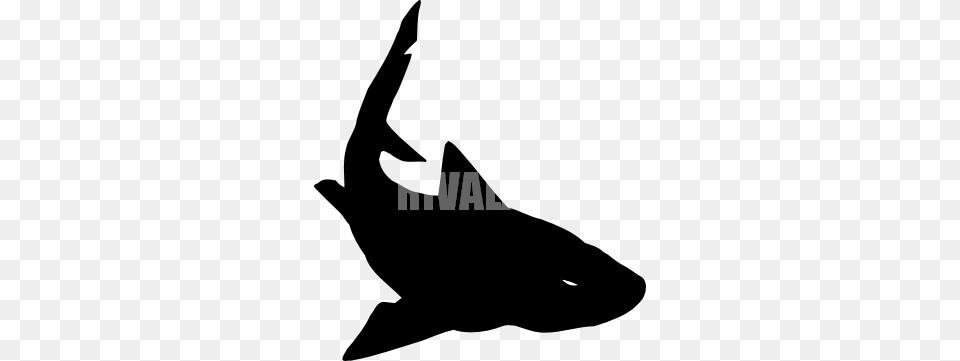 Tiger Shark Clip Art, Silhouette, Animal, Sea Life, Fish Free Transparent Png