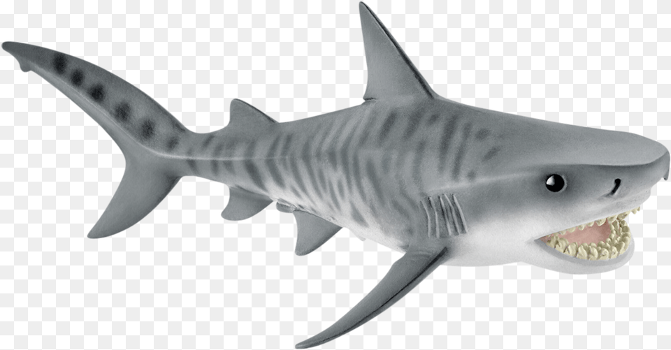 Tiger Shark Toys, Animal, Fish, Sea Life Free Png Download