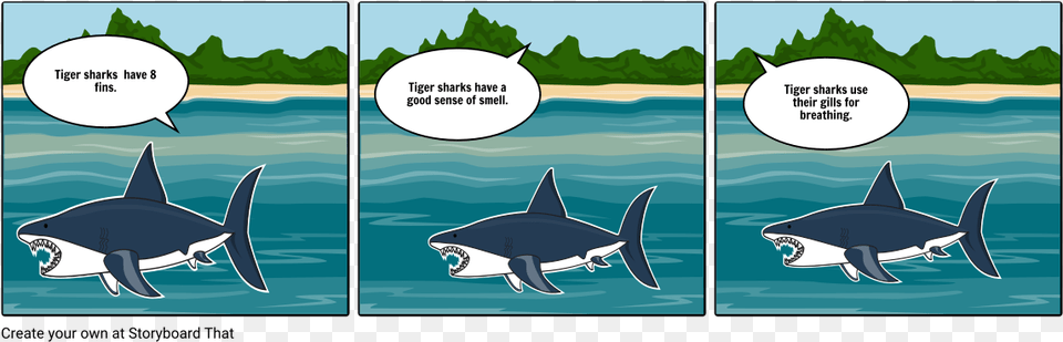 Tiger Shark Yann Martel, Book, Comics, Publication, Animal Free Png Download