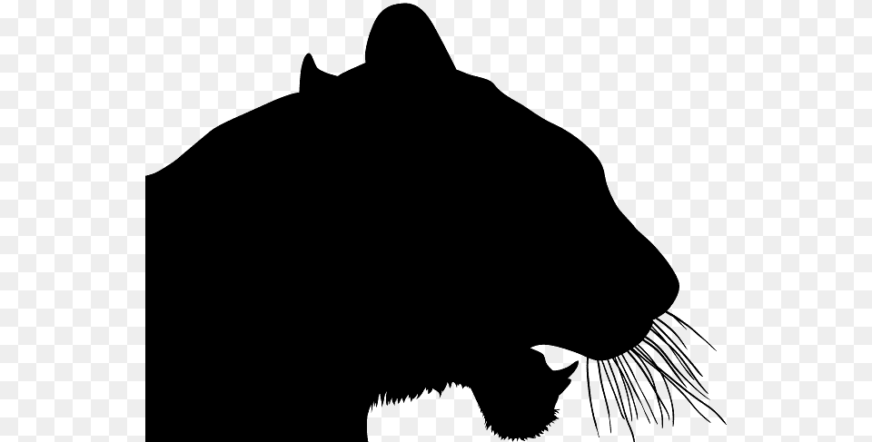 Tiger Silhouette Head, Wildlife, Animal, Panther, Mammal Png Image