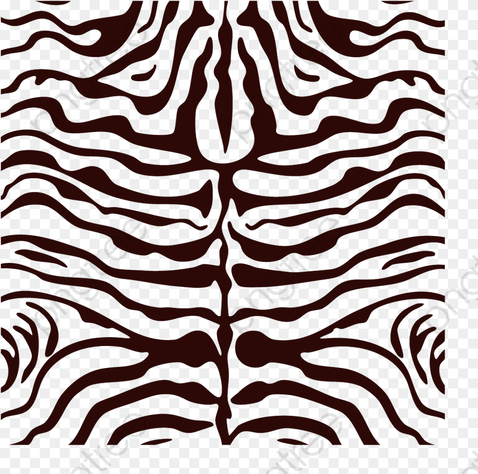 Tiger Stripes For Tiger Stripes No Background, Home Decor, Rug, Pattern, Texture Png
